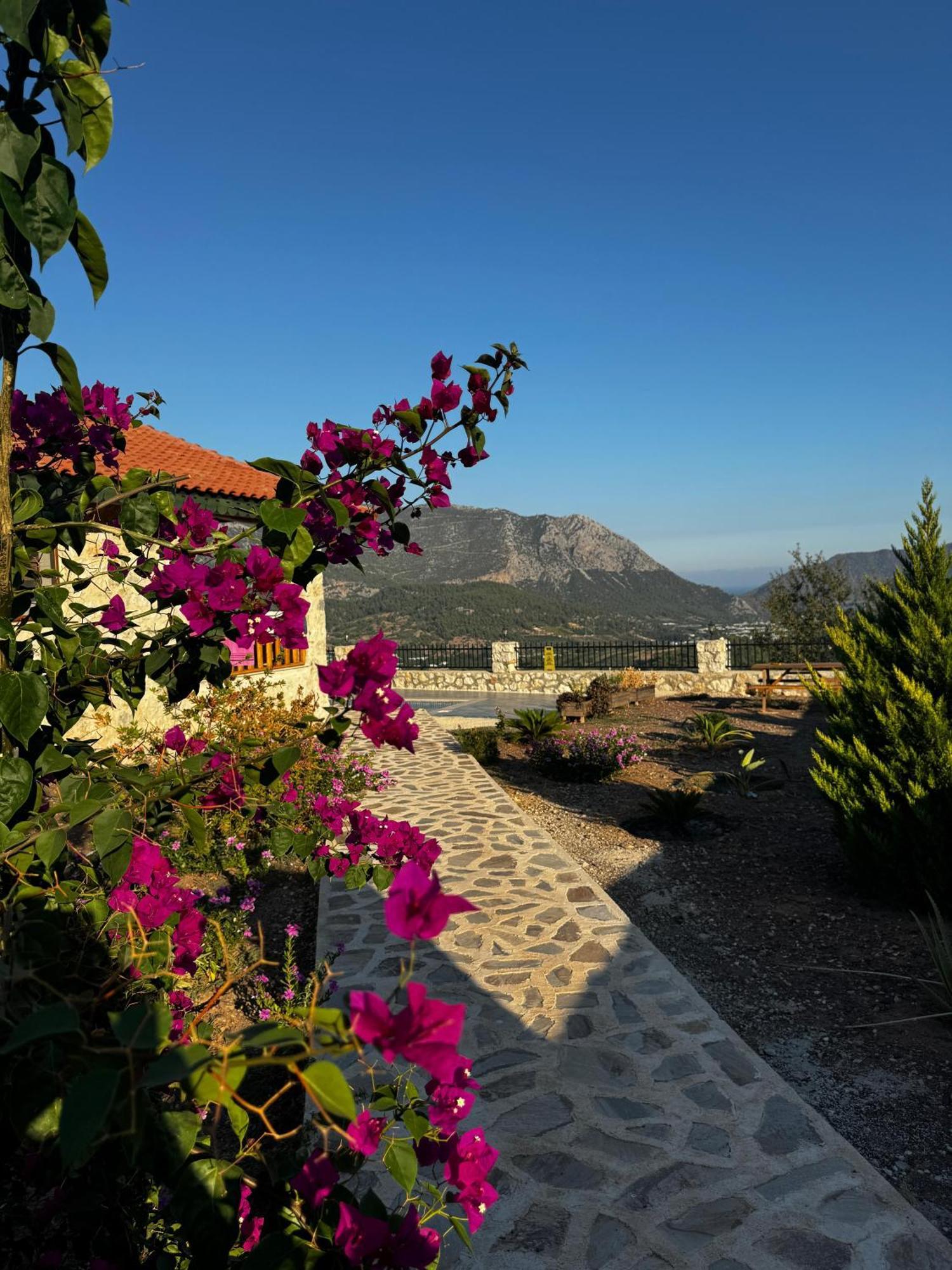 Villa Teras Adrasan Exterior foto